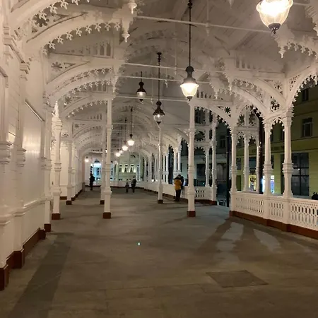 Bella Vista Collonade Apartment Karlovy Vary